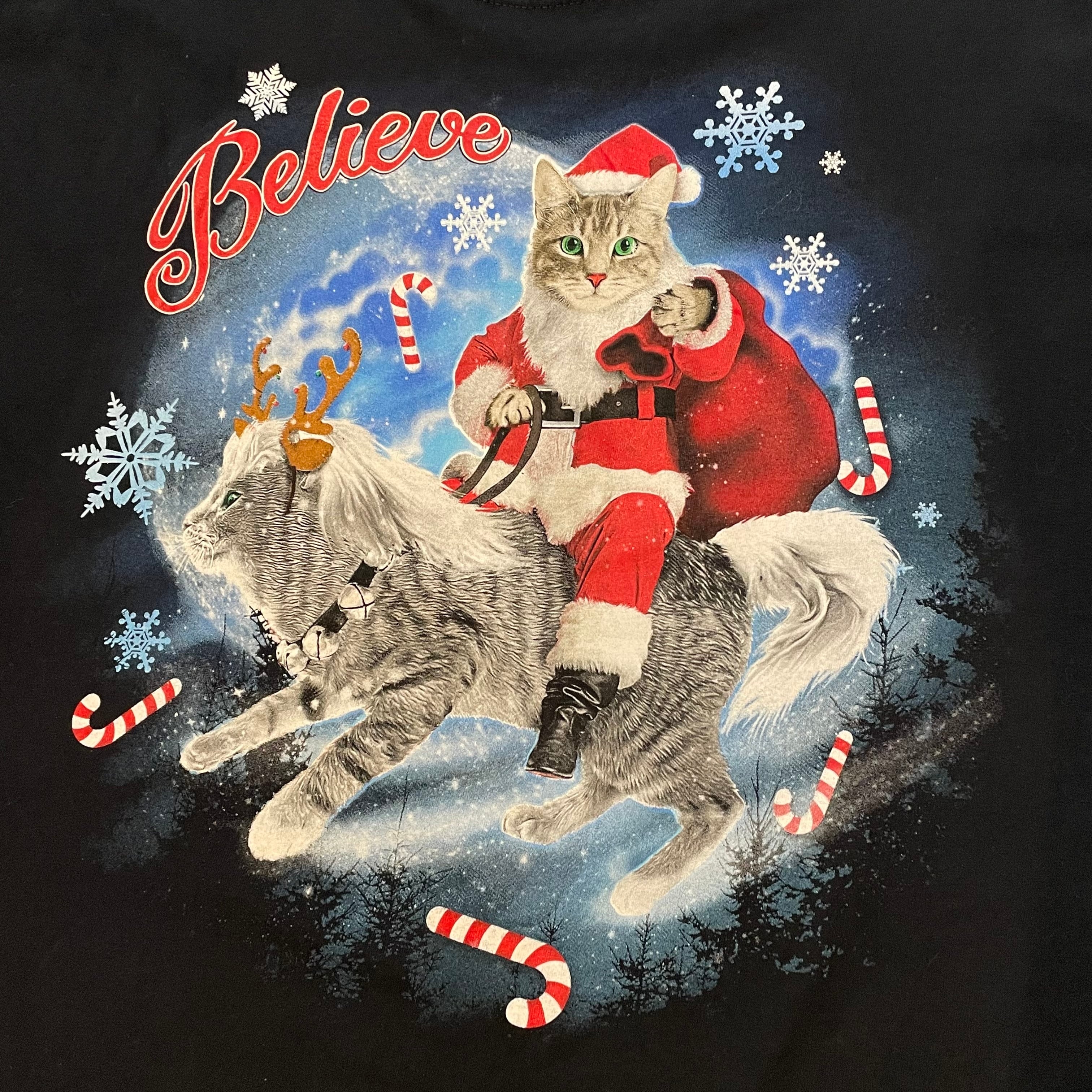 USA製TULTEXラグランスウェットトレーナー動物猫クリスマスサンタクロース