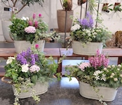 季節のお花を使った寄せ植え