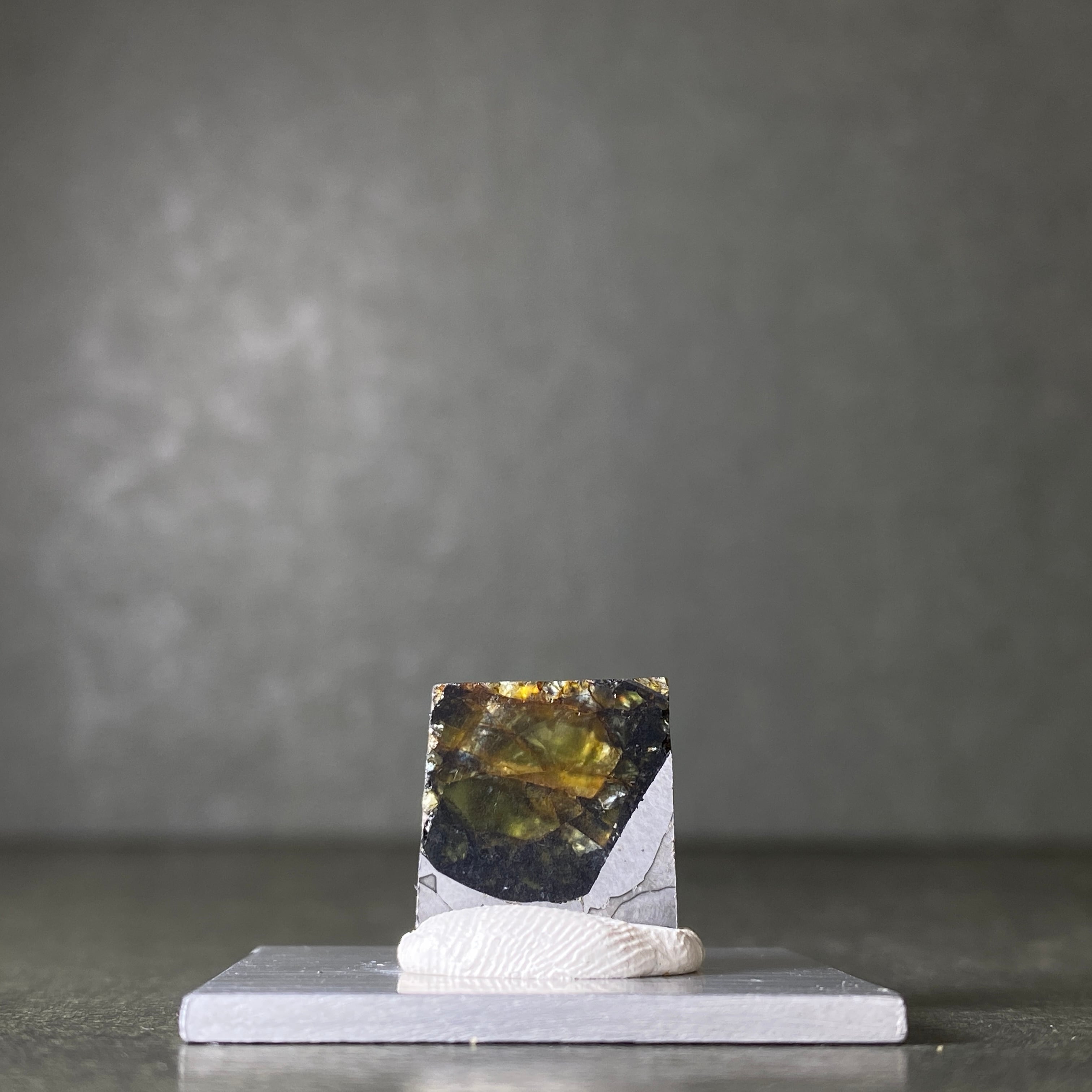 エスケル隕石HG Esquel Meteorite 26071002 | 【隕石屋】METEOS