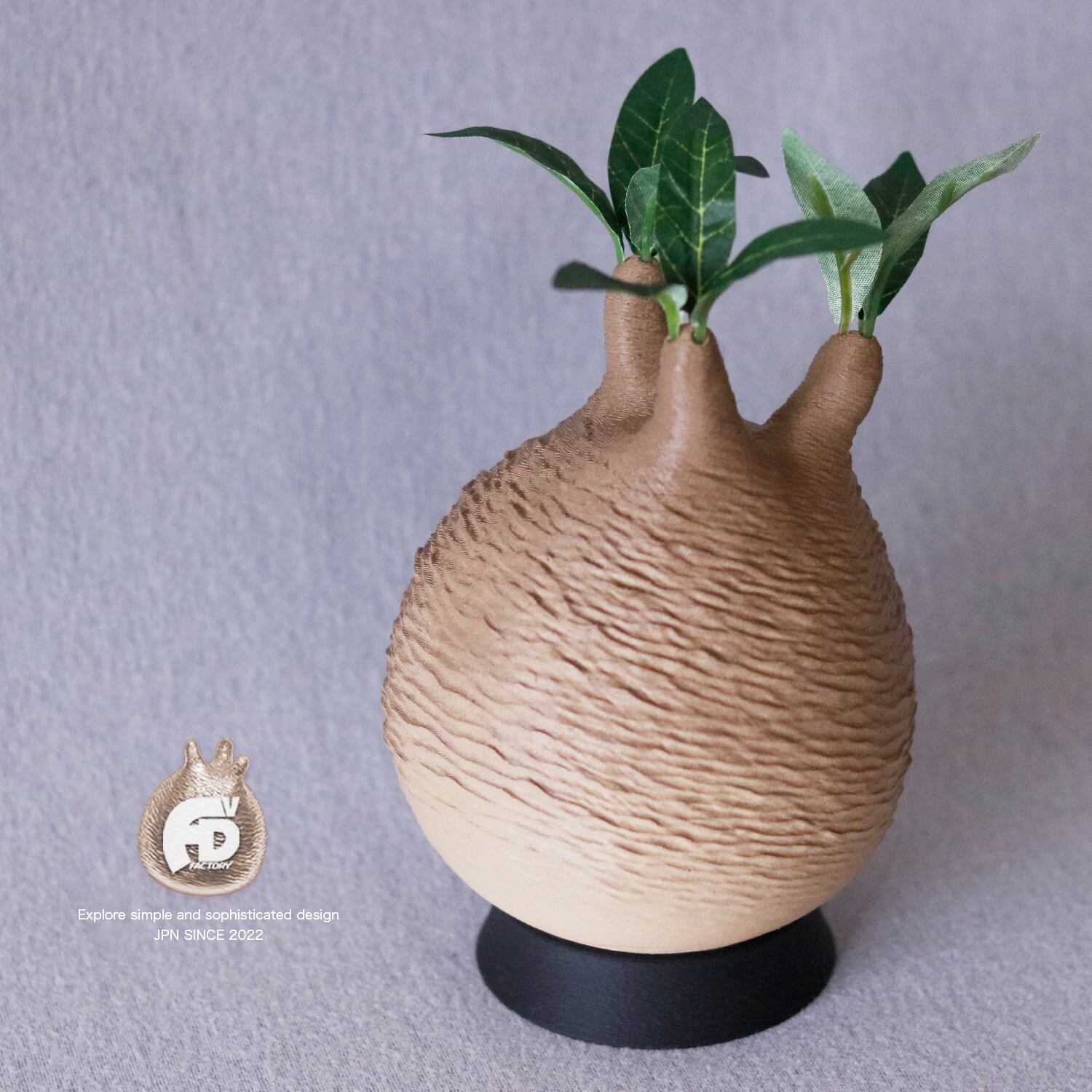 触れたくなるCaudex造形｜パキポディウム グラキリス｜(140x270) Msize