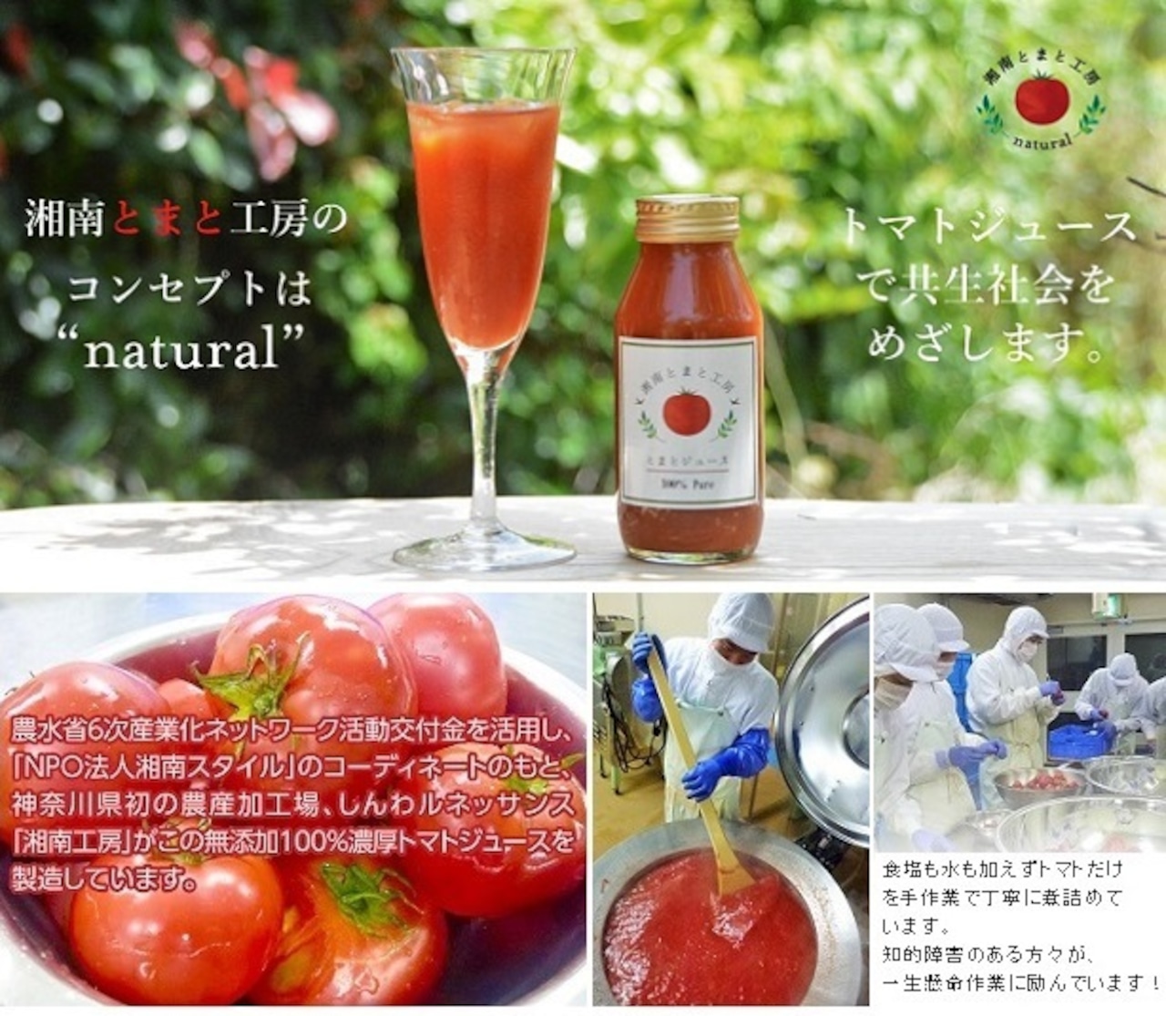 湘南とまと工房【添加物不使用】100%トマトジュース180g×5本・みかんジュース×5本セット・画像4