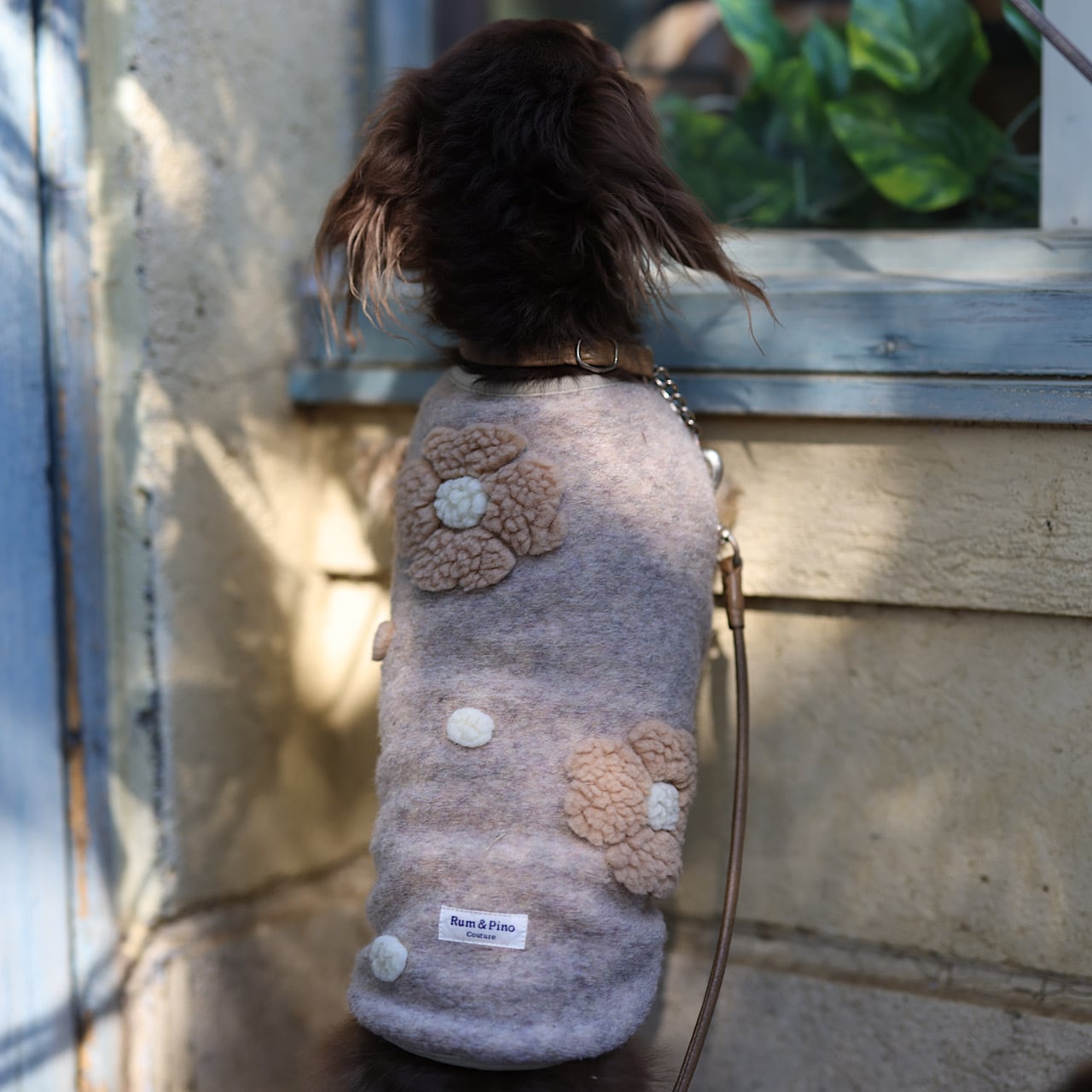 ベアウォーム ボアベスト | カニンヘンダックスとミニチュアダックス