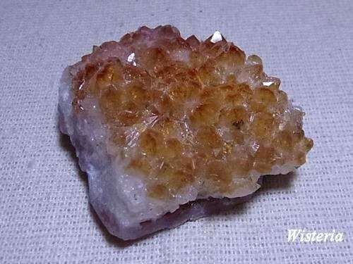 シトリンクラスター M10(108.2g) | Wisteria（ウィステリア）