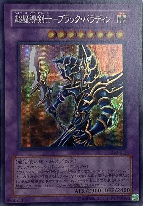 【Bランク】超魔導剣士-ブラックパラディン(シク)