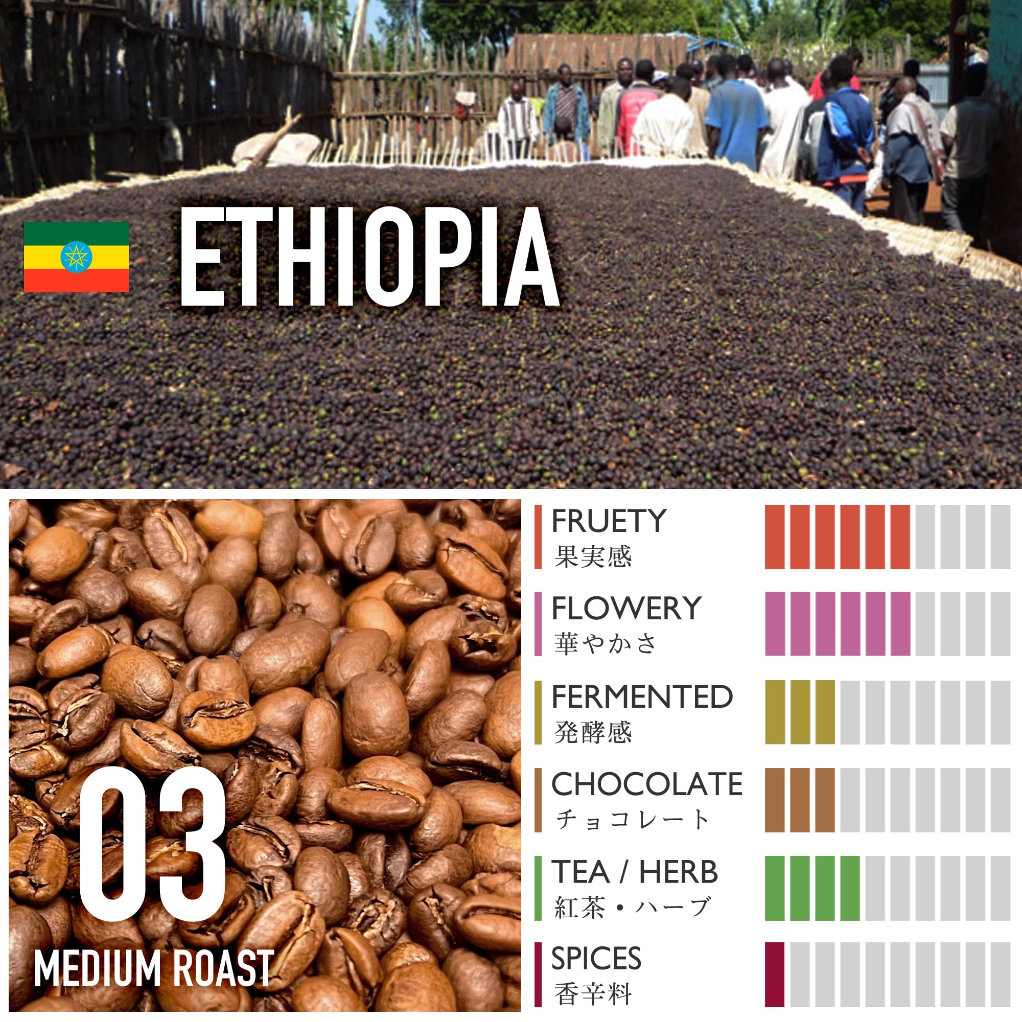 エチオピア/イルガチェフェG1・コンガ・ナチュラル【中煎り】