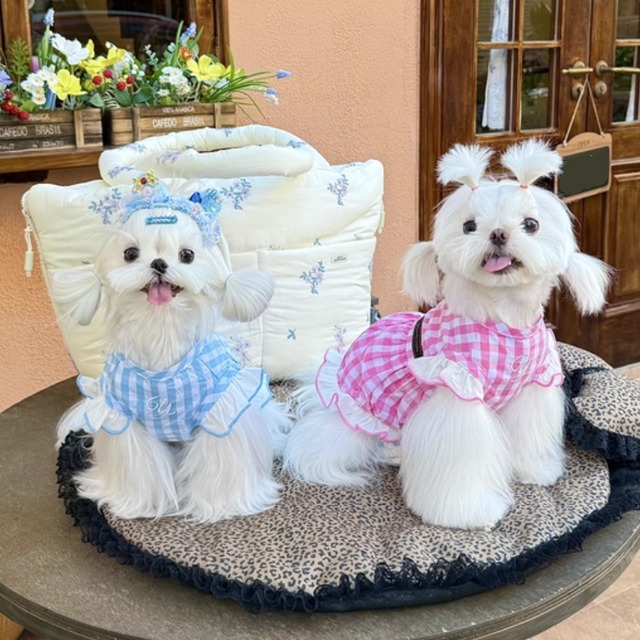 ギンガムチェックのワンピース　犬服　01073