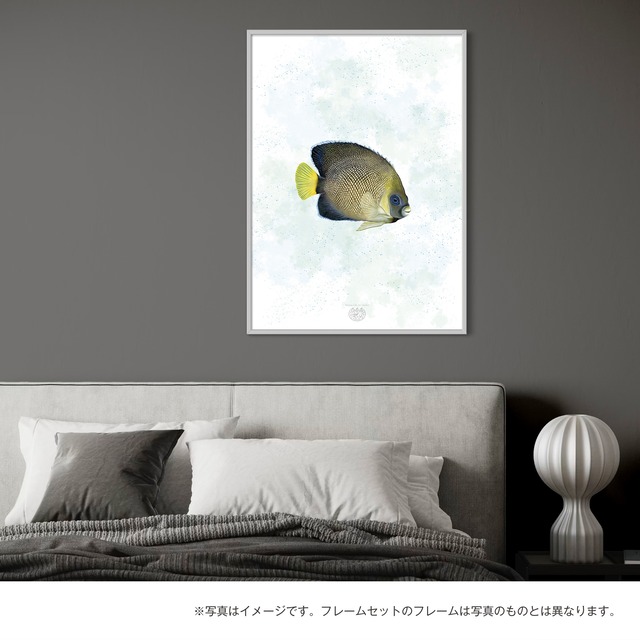 【海のいきものアートポスター／魚】クロシテンヤッコ