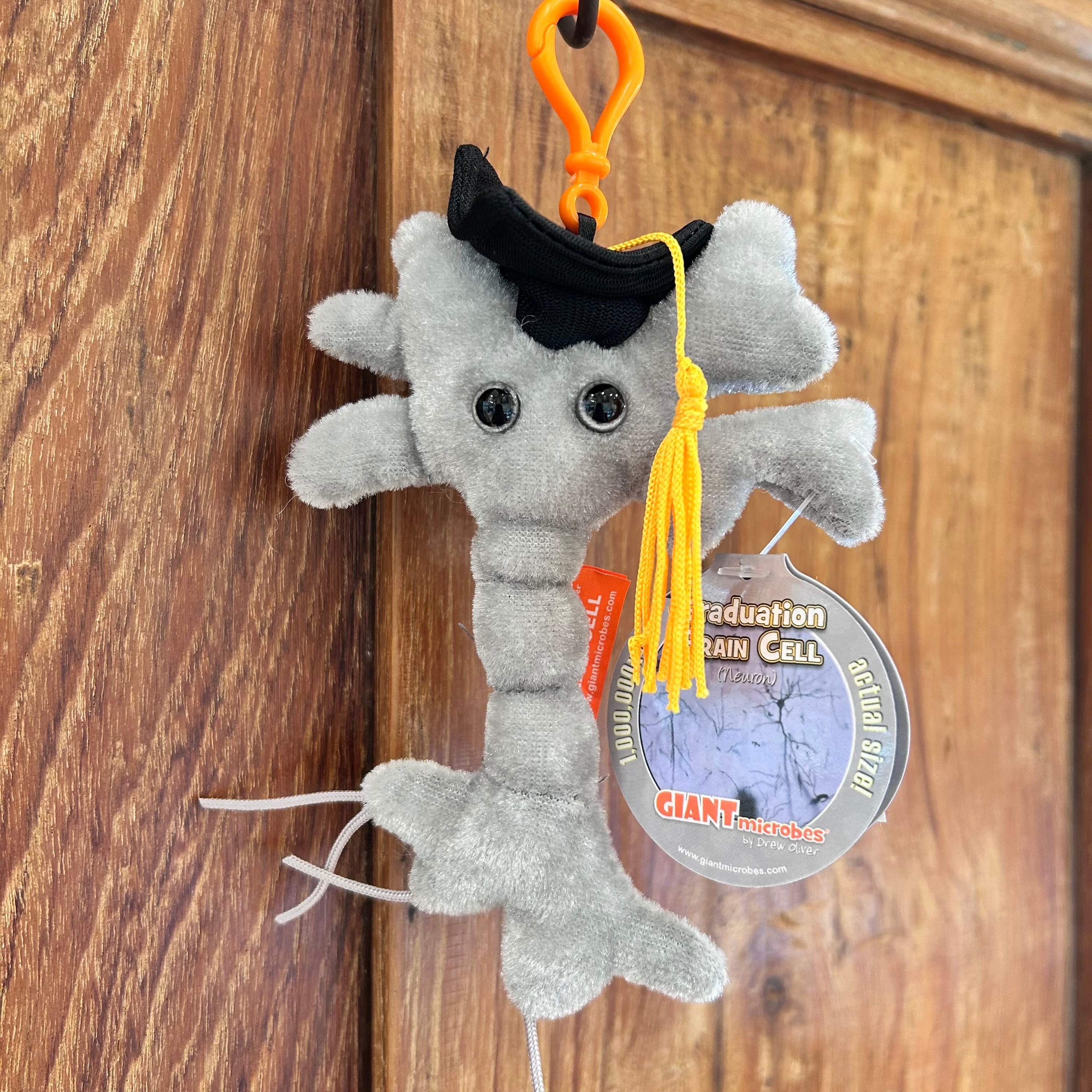 ジャイアントマイクロブス 胆のう | THE STUDY ROOM