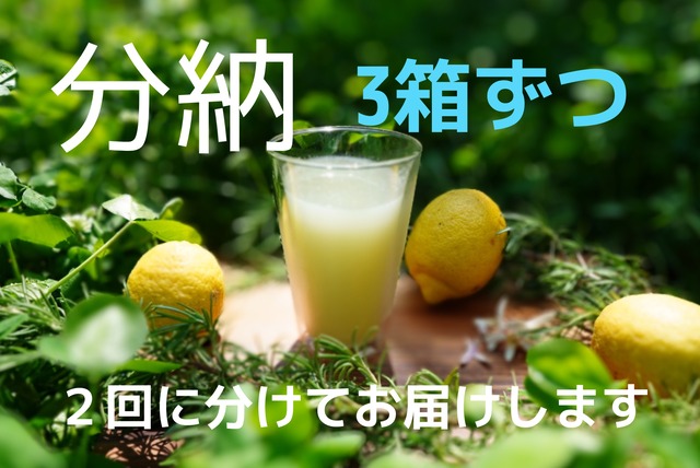 【分納】リペアペースト【青】3箱ずつ計6箱・4月末と9月末に発送（関東送料各1377円＝2754円）