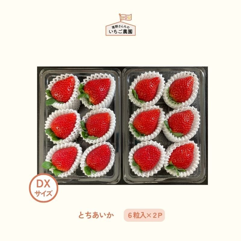 ce6adc50e556a243cf121bfb50ffda