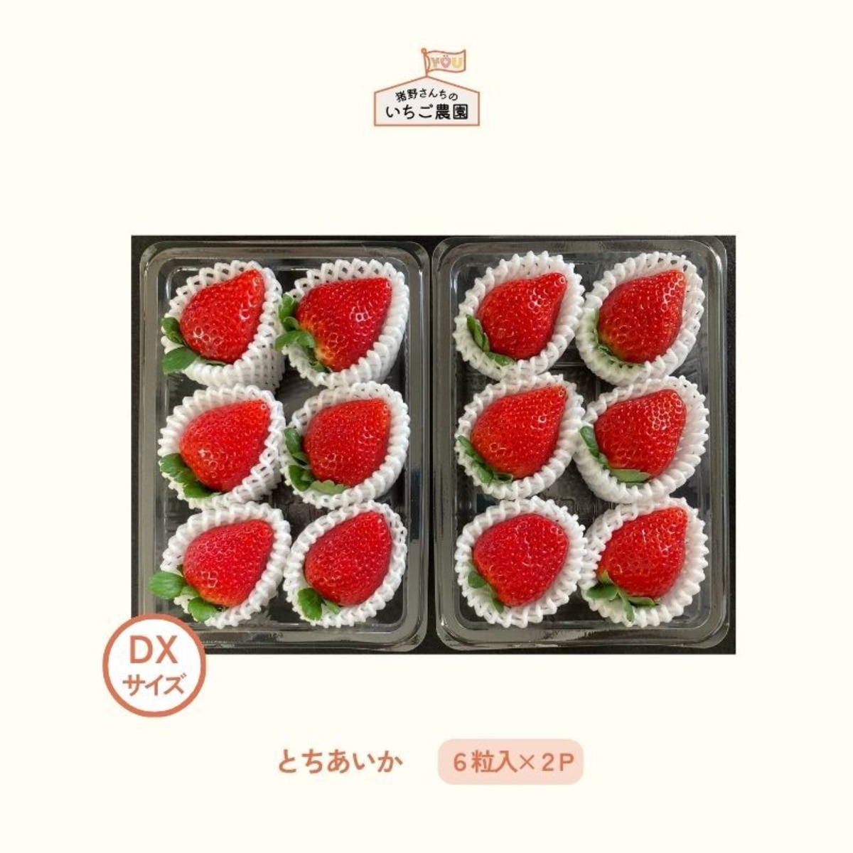 とちあいか（DXサイズ 6粒入り×2P） | 猪野さんちのいちご農園｜産直 