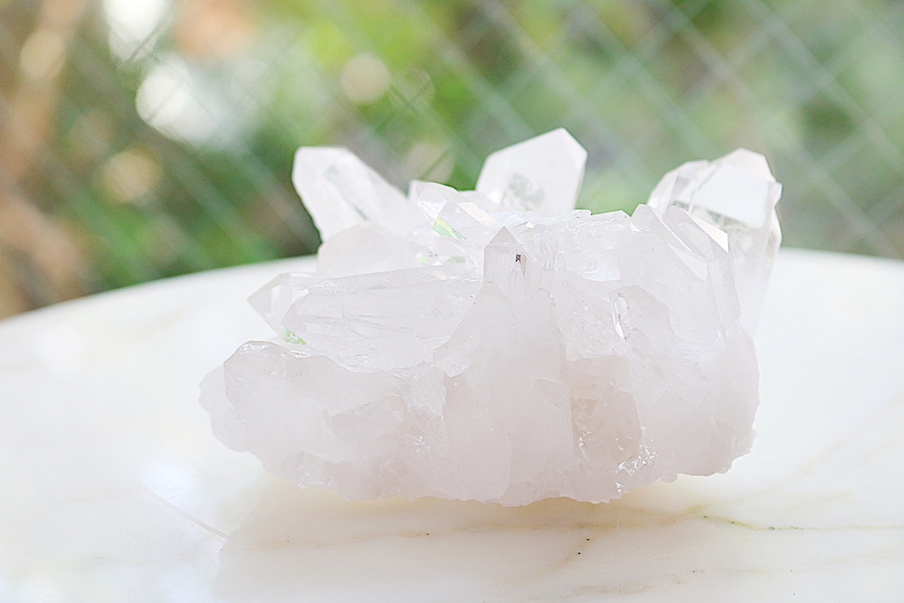 何でもうなぎ②