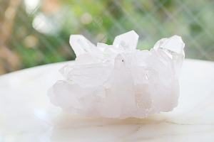 何でもうなぎ②