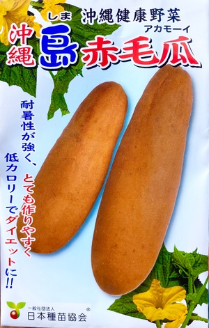 沖縄島野菜種子2ml約35粒「赤毛瓜」あかもーい＊送料込み