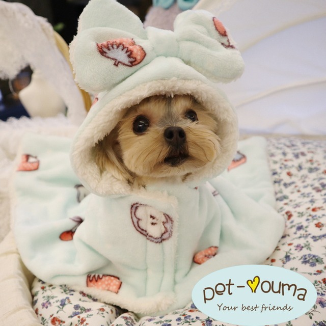 小型犬服 ドッグウェア 犬服 秋冬 子犬 超小型犬 ガウン ブランケット もふもふ かわいい いちご バナナ柄 室内着 小型犬のためのお店 Seasonz かわいいペットウェアの通販