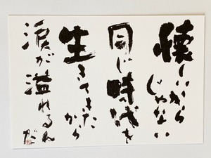 書のポストカード「懐かしいからじゃない同じ時代を生きてきたから涙が溢れるんだ」
