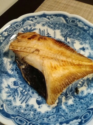 マト鯛