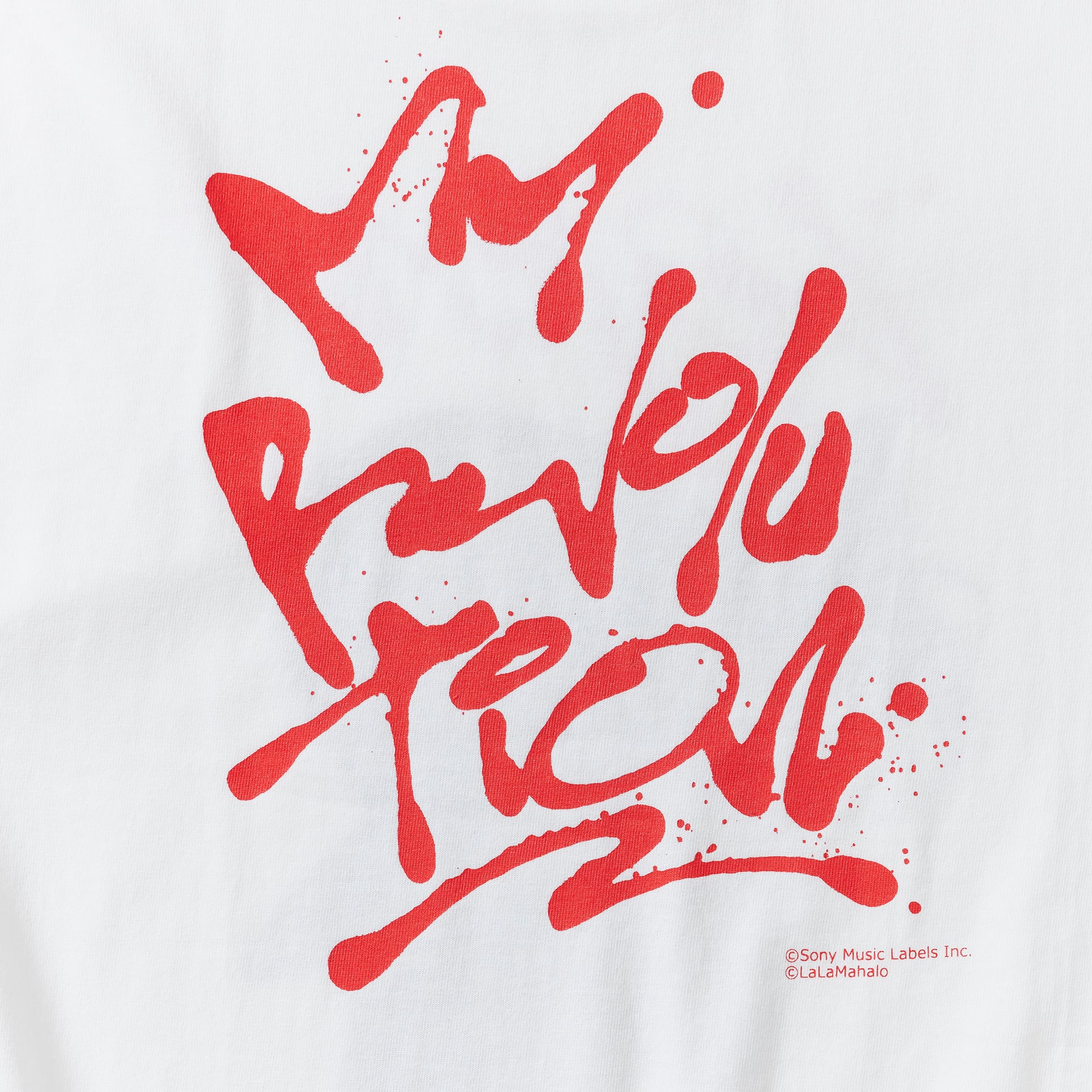 渡辺美里 × T SPEC GEAR × 神山隆二 「 Lovi'n You ＆ My Revolution