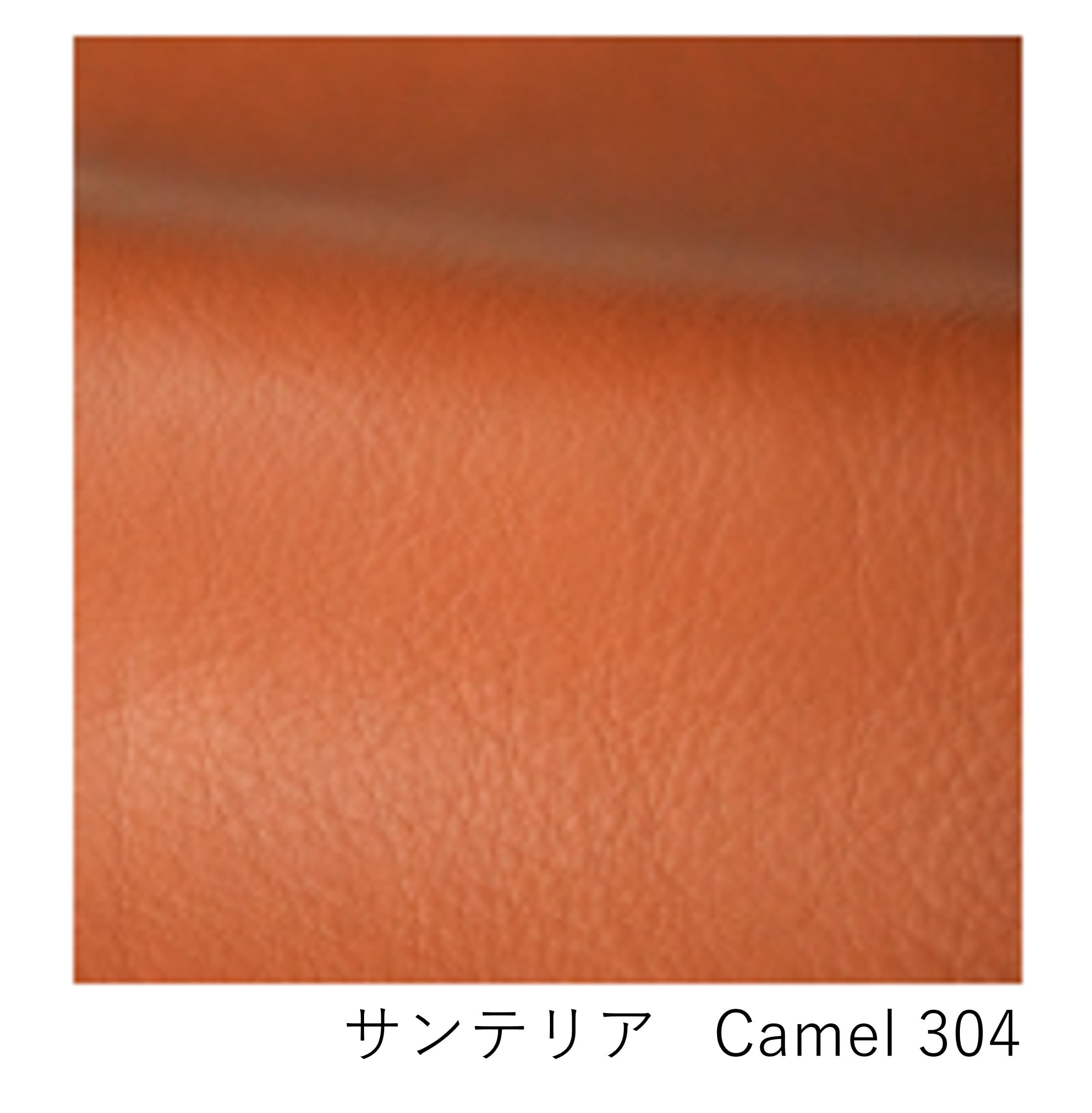 felice 2Pソファ [FEL2301 FB-B] ｜ 本革 革張り 2人掛けソファ カバー