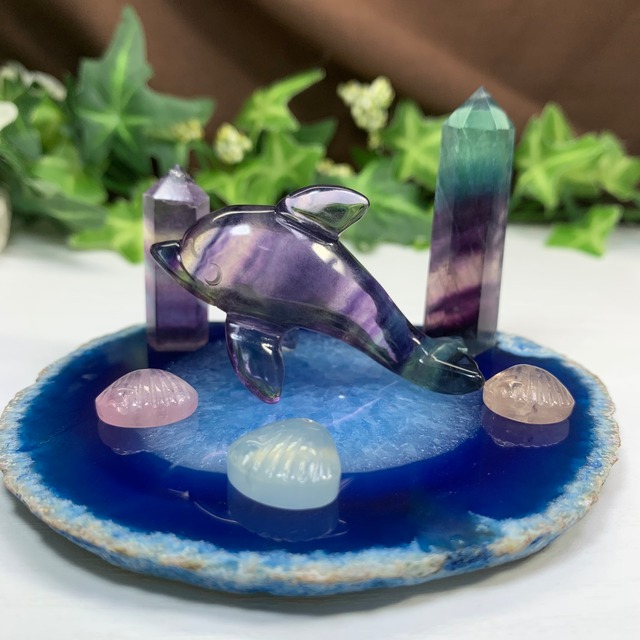 海のアニマル♪♪フローライトイルカのお家セット