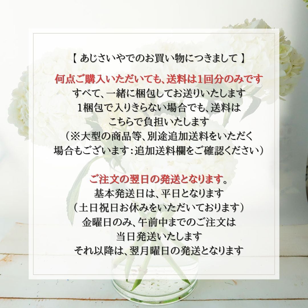 ピラミッドあじさい こわけ オフホワイト 【 プリザーブドフラワー