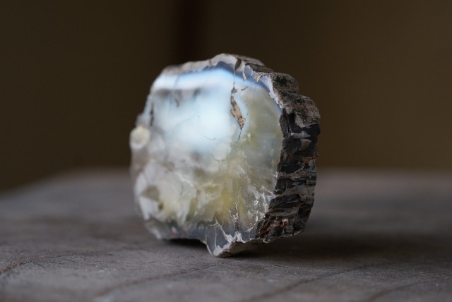 珪化木 Araucarioxylon ⑩