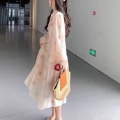 Chinese Style Printed Wind Long A-Line Dress 5011