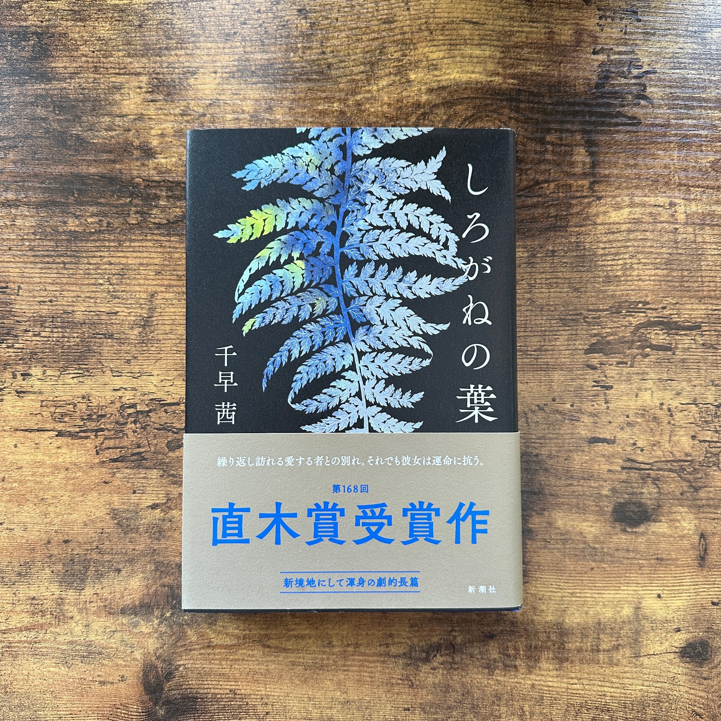 単行本『蒼氓』石川達三 | BAILEY BOOKS 公式通販サイト