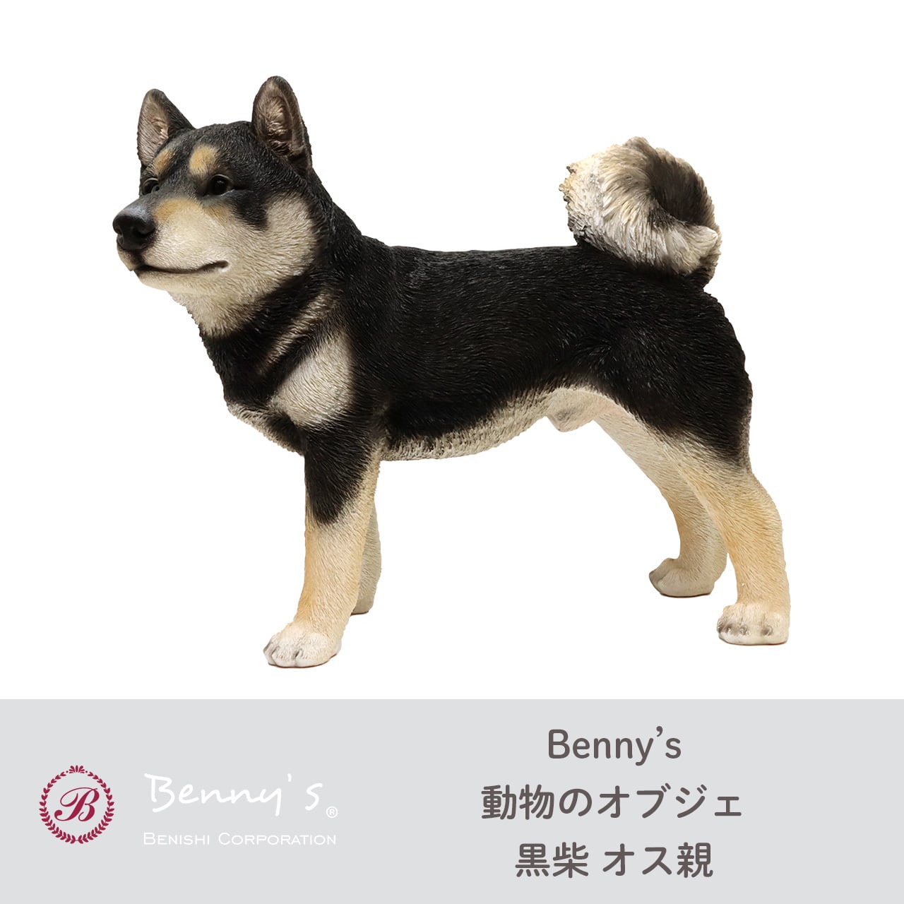 Benny’s ベニーズ 黒柴 オス親(QY-022BK) | ジョイフルパル powered by BASE