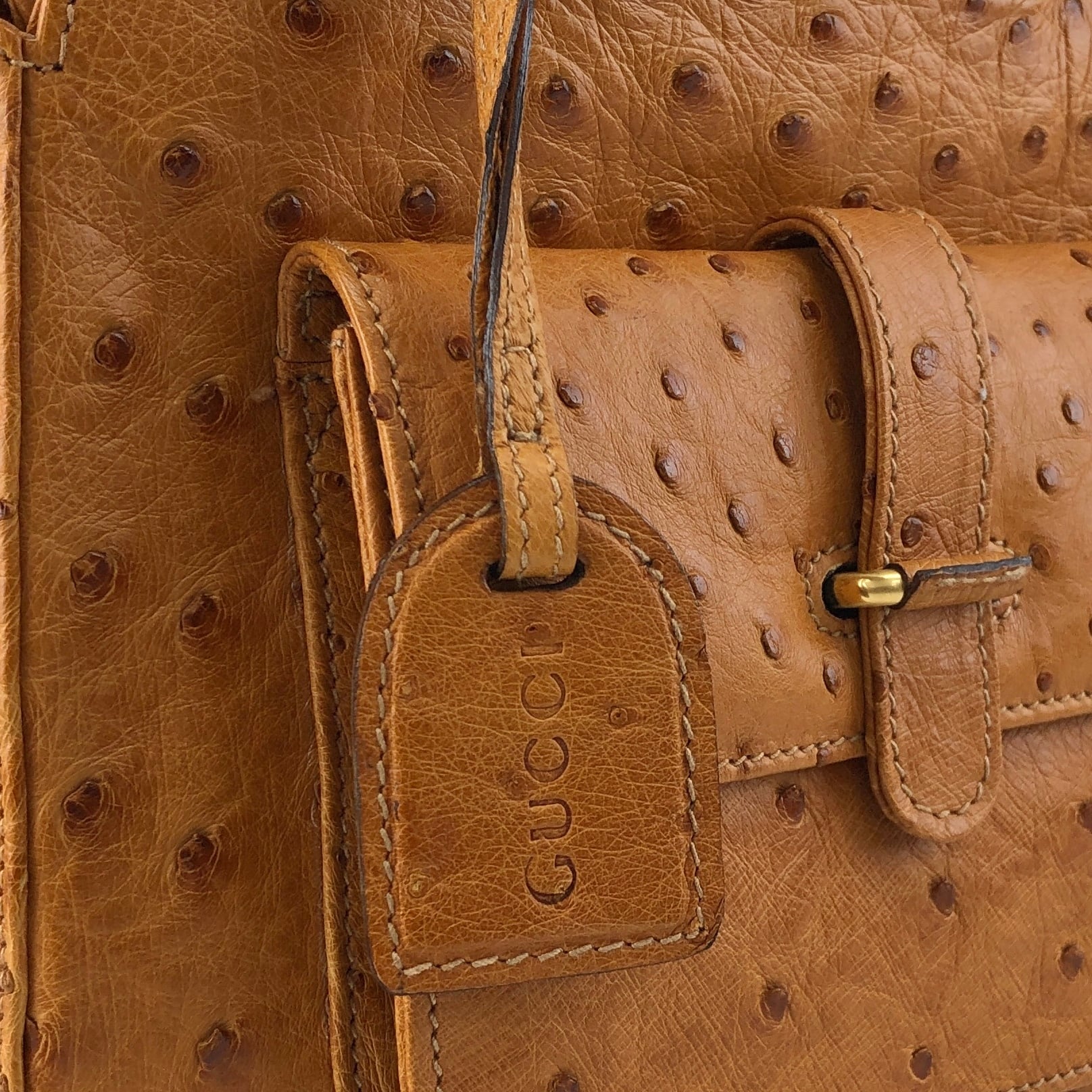 GUCCI グッチ ハンドバッグ ブラウン オーストリッチ 2way メタル