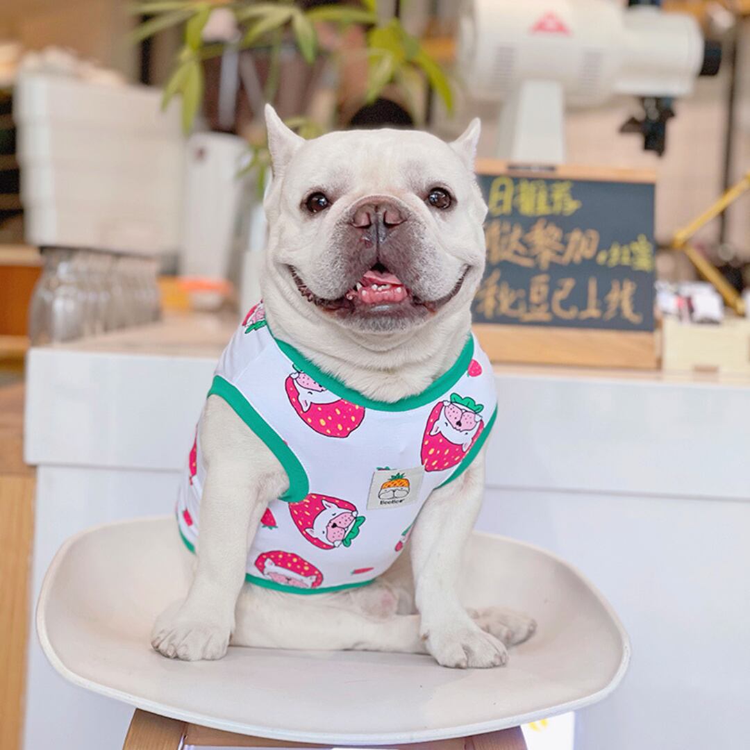 【ワンカラー】ちょっとレトロないちご柄のコットンベスト d1133