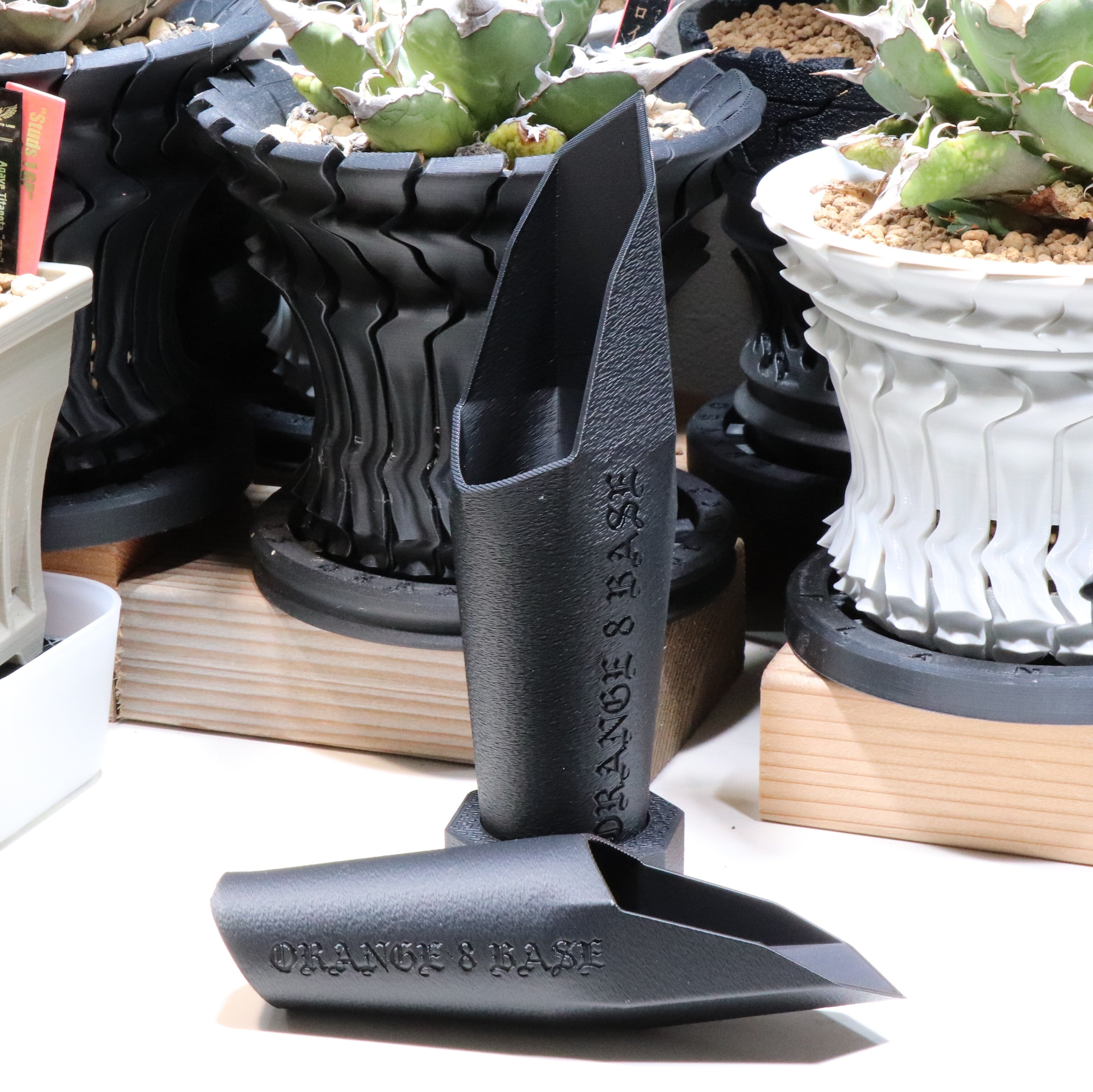 アガベ 麻花龍 マカロン 子株 Berlin産 ぶつぶつ | orange8base