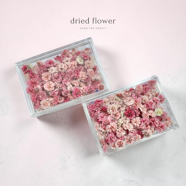 popo't | dried flowers shop .by popo't