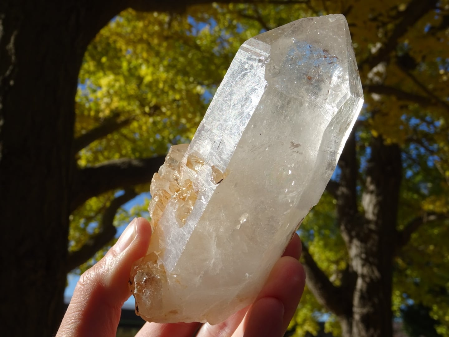 ベトナム | 虹石屋