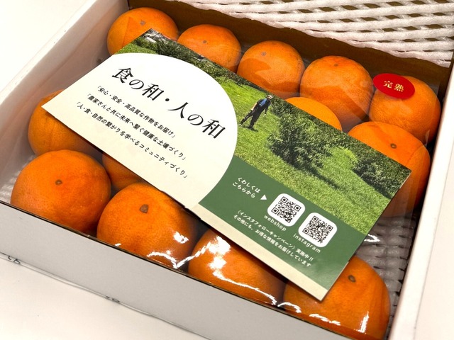 2026奇跡の糖度！有田みかん 【3kg】