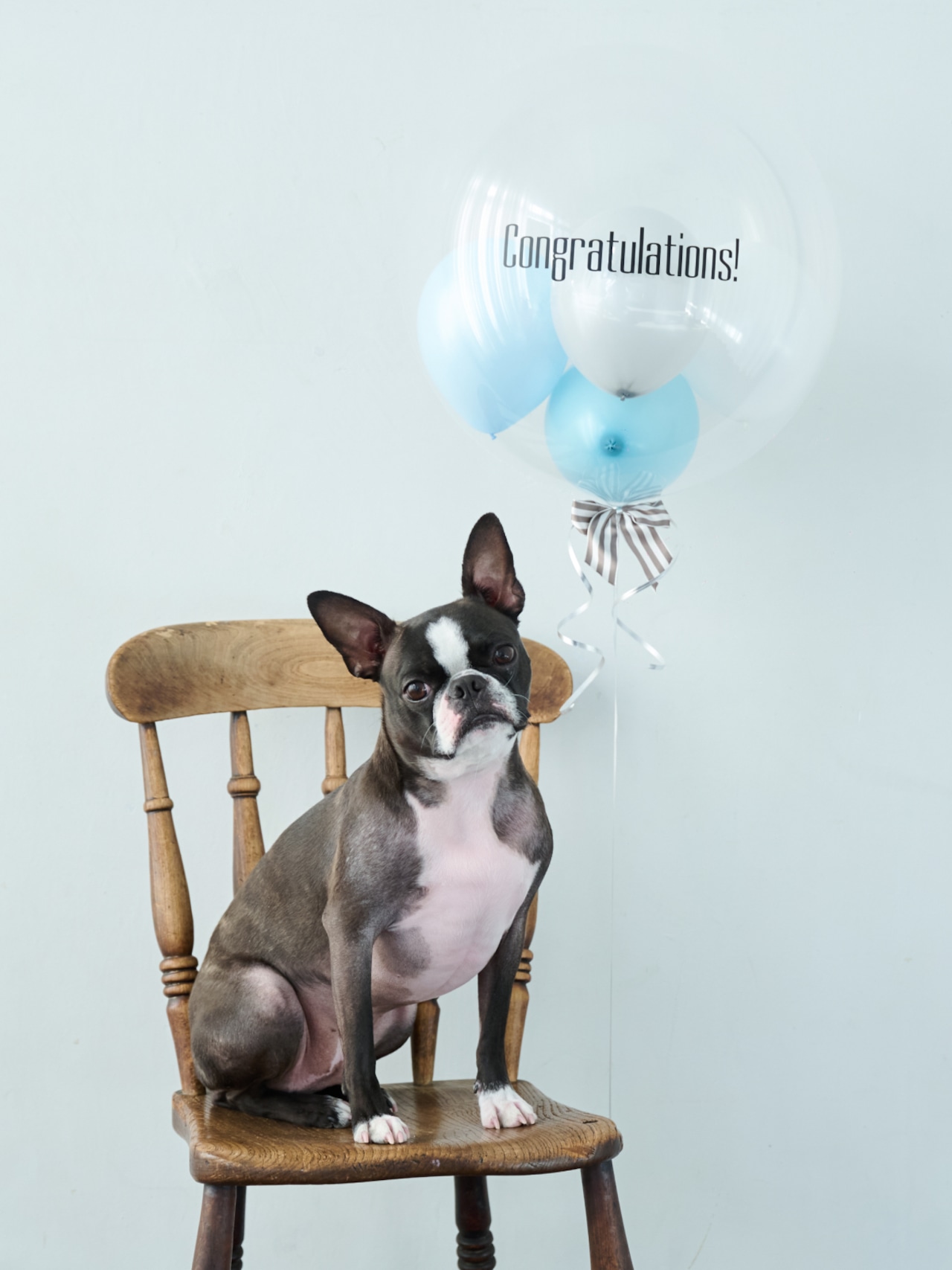 BUBBLE BALLOON sizeL ピンク