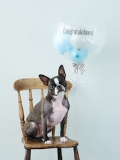 BUBBLE BALLOON sizeL ピンク