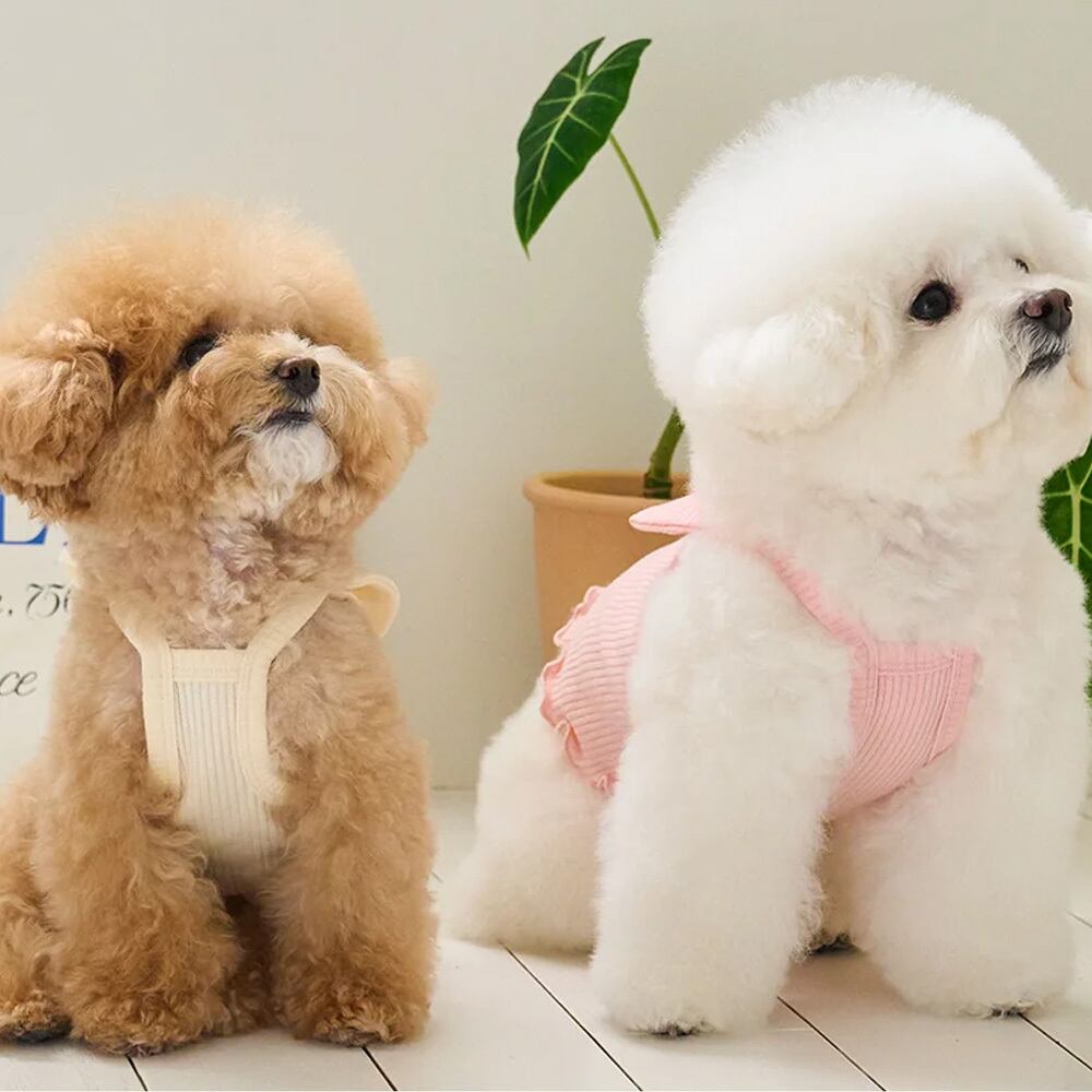 BENNYS リボニークロップトップ リボン ドッグウェア ペットウェア 犬