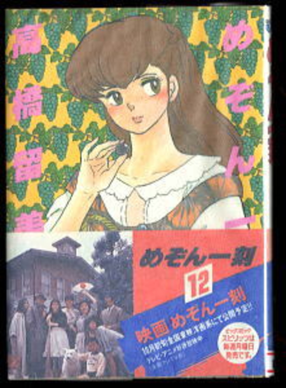 めぞん一刻 宮崎美子 めぞん一刻 DVD 映画 澤井信一郎 高橋留美子 石原 