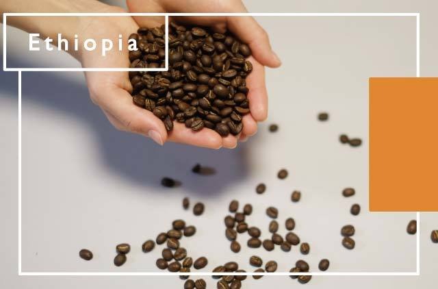 [エチオピア] 水素焙煎珈琲豆
