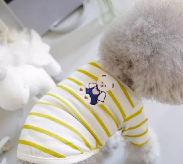 ドッグ 犬 室内着 シャツ Tシャツ ストレート 袖付き 半袖 クマ キャラクター 刺繍 アップリケ かわいい シンプル カジュアル おしゃれ レトロ モダン ラブリー キュート 都会的 カレッジ風 ベーシック アメリカン プレッピー シンプル フレンチ ボーダー ストライプ 春 夏 ロングシーズン サマーシーズン 男の子 女の子 成犬 お出かけ リゾート 旅行 公園 休日 バカンス ショッピング カフェ 庭 ガーデン 散歩 ウォーキング 室内 おうち コーデ 普段使い XS S M L XL