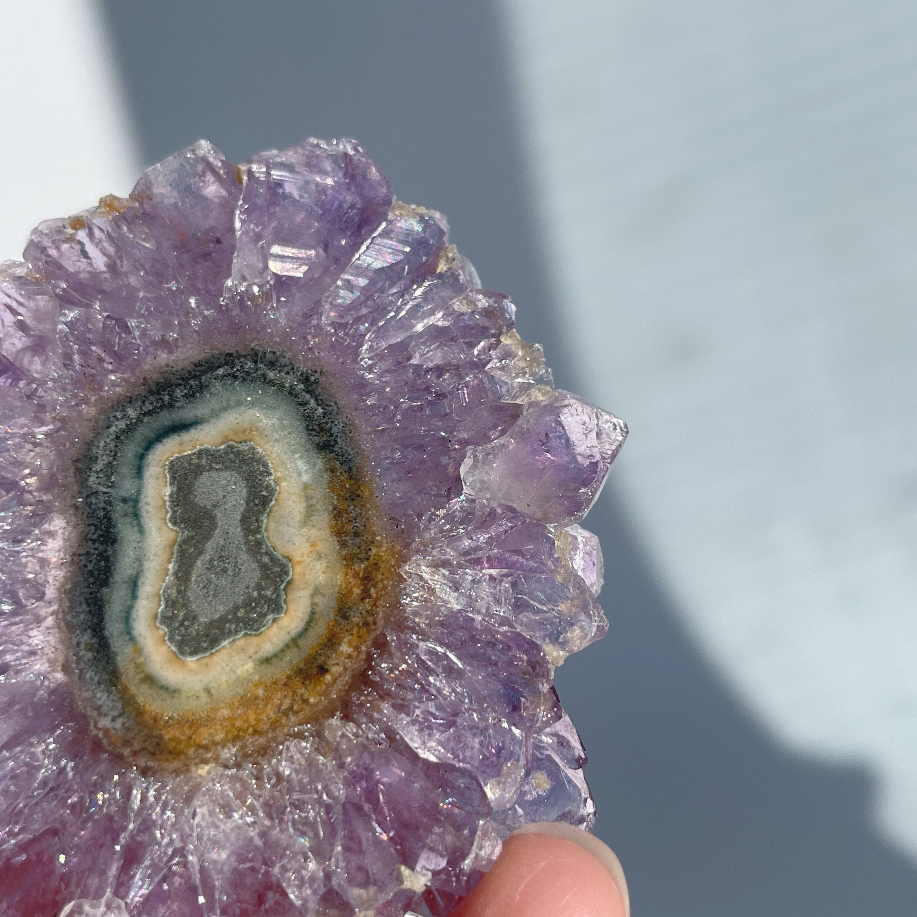 フラワーアメジスト スライス12◇ Flower Amethyst ◇天然石・鉱物