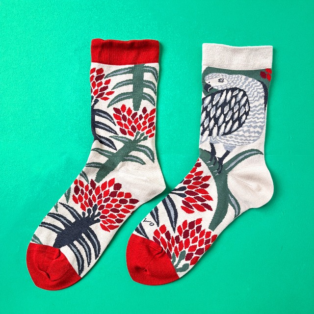 新商品《鳥/ヨウム》靴下 ご自慢ヨウム moritaMiW 限定された店舗のみの取り扱い商品です