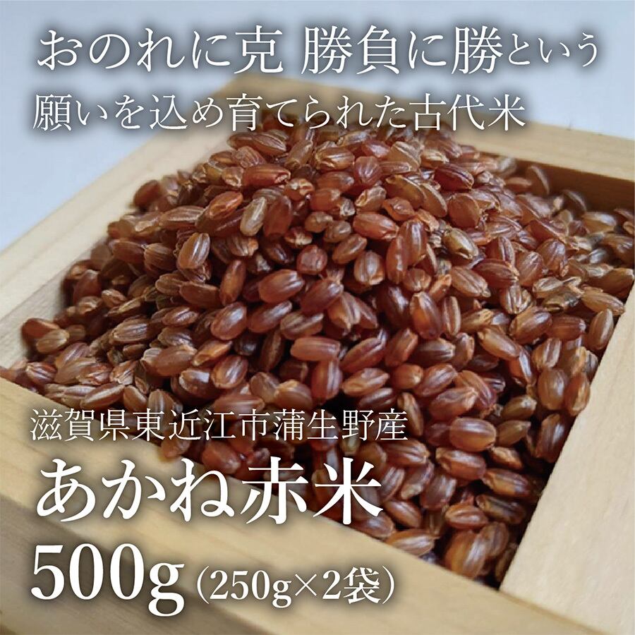 500g　滋賀報知新聞社　みずかがみ　克勝あかね赤米　5kg　滋賀県東近江市蒲生野産　特選ショップ