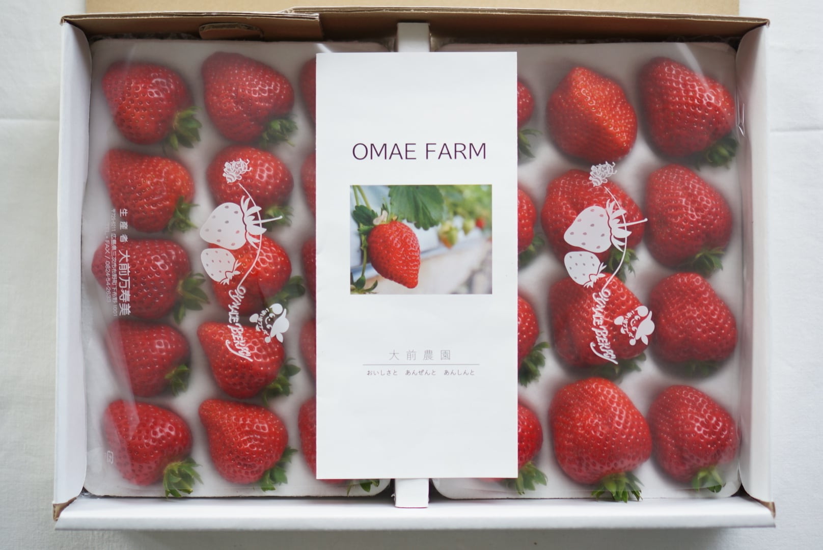 完熟いちご詰め合わせ（箱入り） | OMAE FARM