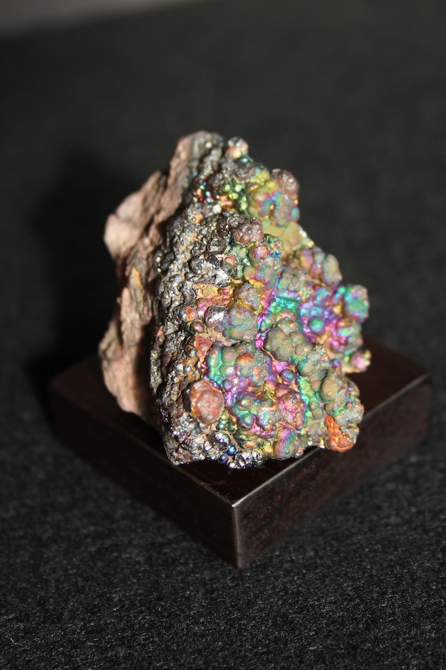 【5103】宮崎レインボー ローズウッドベース大