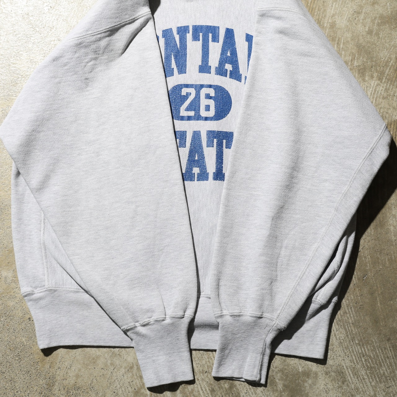 美品 XL 90s USA 三段カプセル Reverse Weave Champion リバースウィーブ