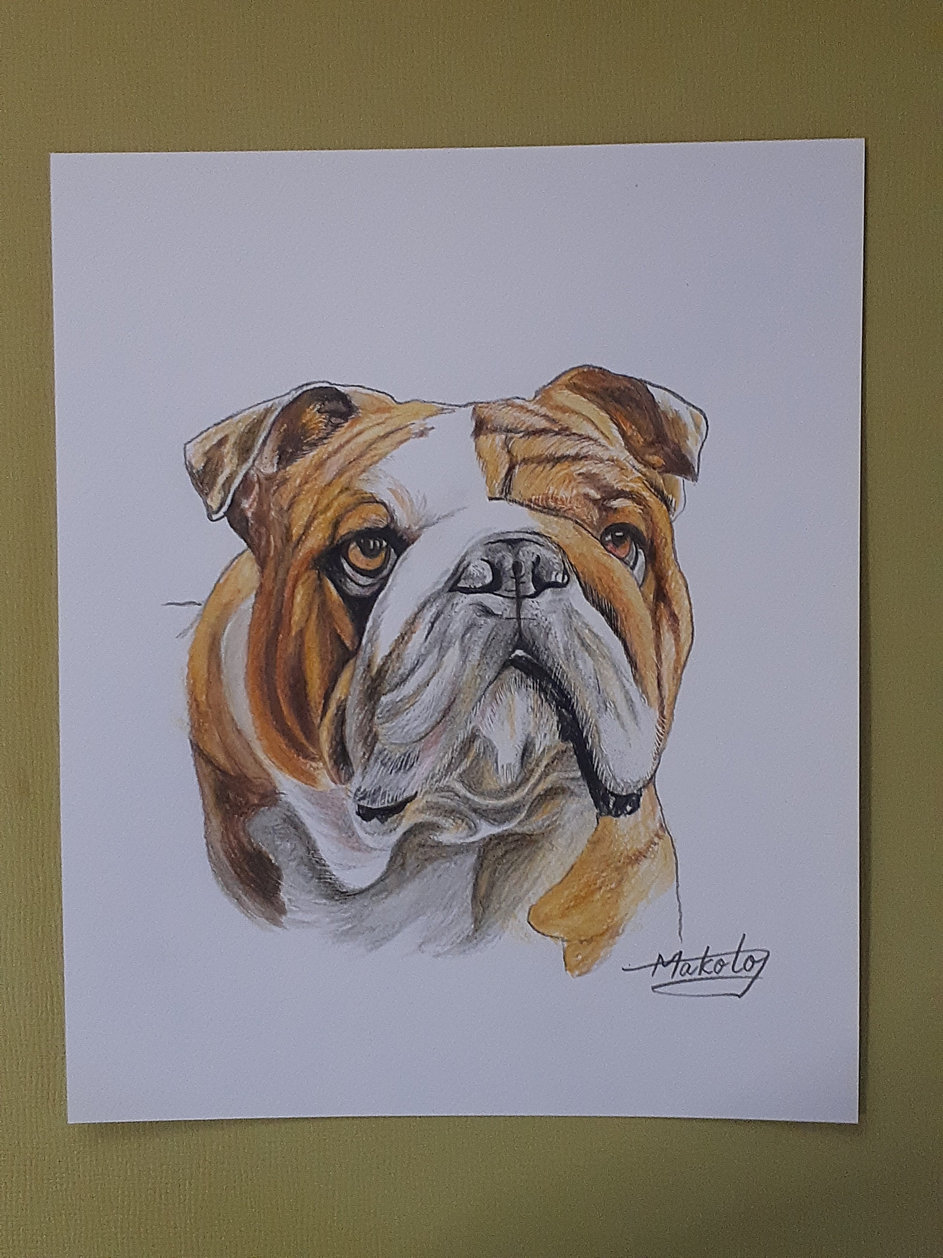 犬の絵 色鉛筆画 絵画 手描き ハンドメイド : 犬 原画 動物画 真作