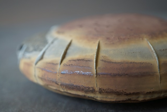 ゴビ砂漠産亀甲石 Turtleback Stone 1323