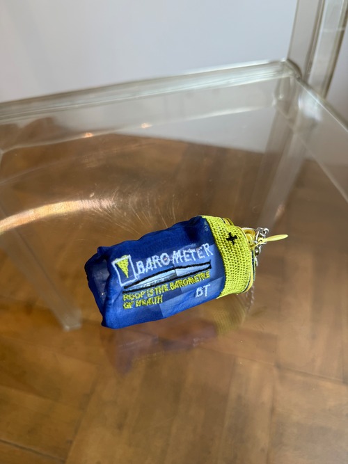 BRIGITTE TANAKA/ Baromètre Petit